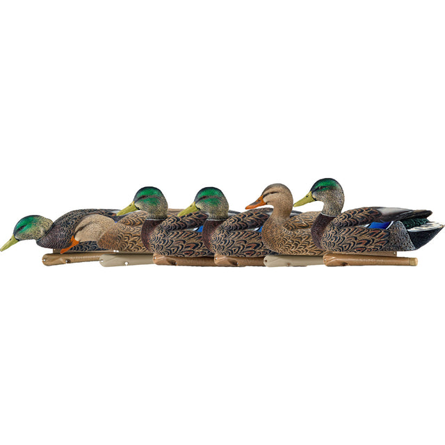 Avian X Top Flight Duck Decoys Early Season Mallards 6 pk. | Avian-X