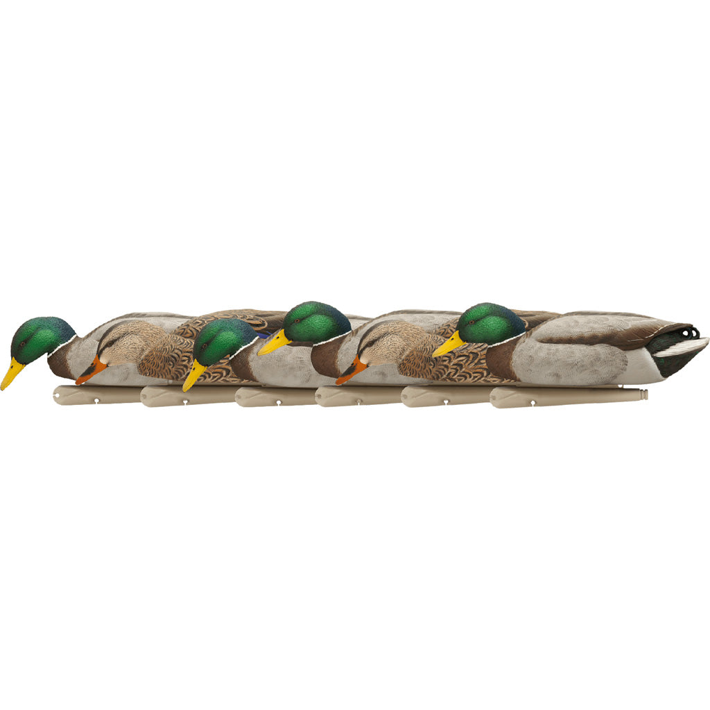 Avian X Top Flight Duck Decoys Backwater Mallards 6 pk. | Avian-X