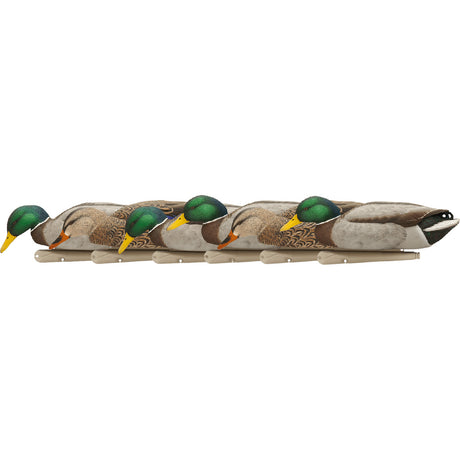 Avian X Top Flight Duck Decoys Backwater Mallards 6 pk. | Avian-X