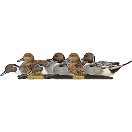 Avian X Top Flight Duck Decoys Pintail 6 pk. | Avian-X
