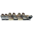 Avian X Top Flight Duck Decoys Gadwall 6 pk. | Avian-X