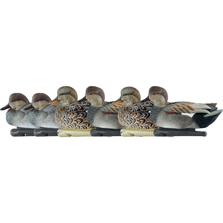 Avian X Top Flight Duck Decoys Gadwall 6 pk. | Avian-X