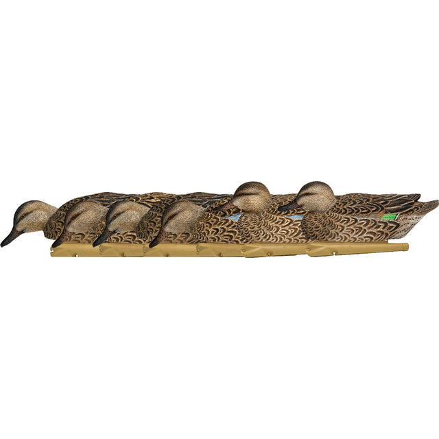 Avian X Top Flight Duck Decoys Early Season Teal 6 pk. | Avian-X