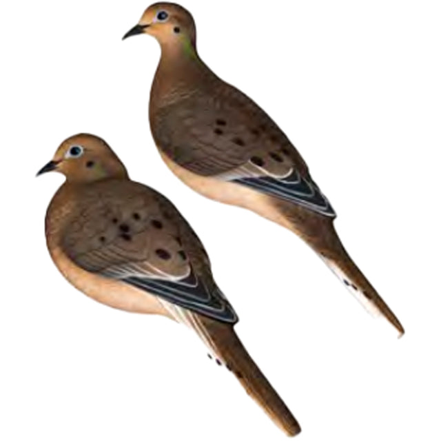 Avian X AXP Full Body Dove Decoys 6 pk. | Avian-X