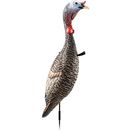 Flextone Funky Chicken Gen 2 Turkey Decoy | Flextone