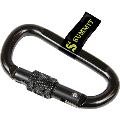 Summit Locking Carabiner 1 pk. | Summit