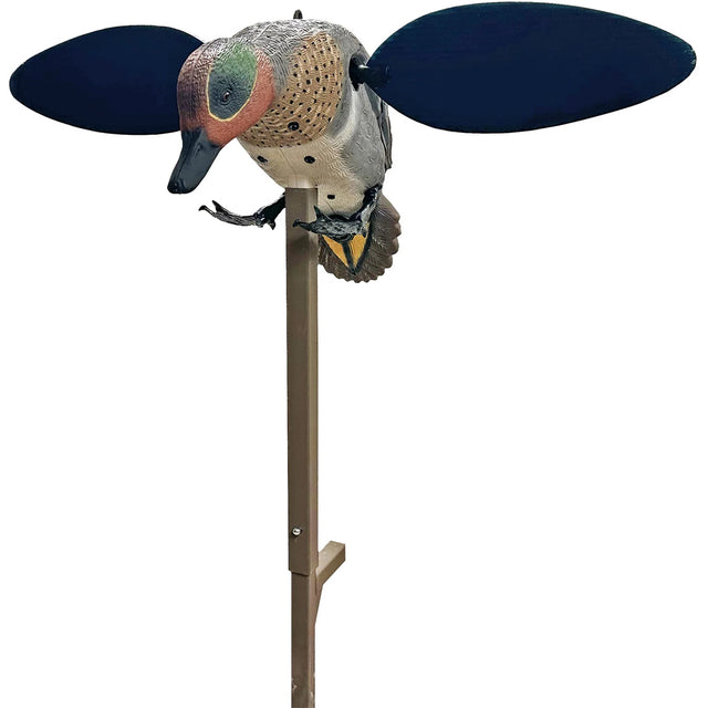 MOJO Green Wing Teal | Mojo Outdoors