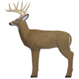 Shooter Buck Target | Shooter