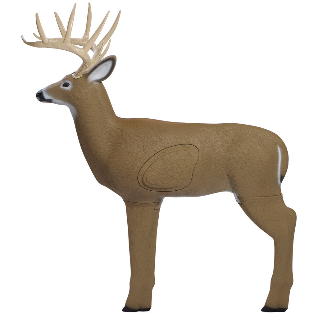 Shooter Buck Target | Shooter