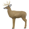 Shooter Big Buck Target | Shooter