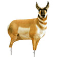 Montana Decoy Antelope Buck | Montana Decoy