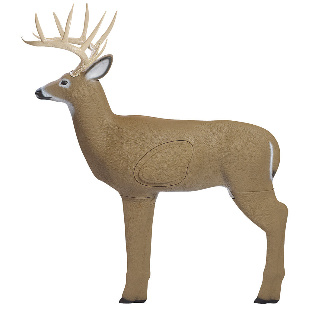 Shooter Crossbow Buck Target | Block