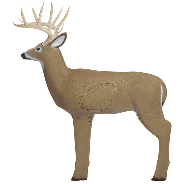 Shooter Crossbow Buck Target | Block