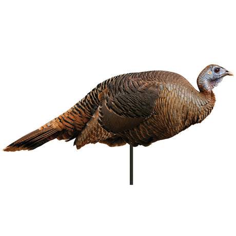 Montana Decoy Spring Fling Hen Decoy | Montana Decoy