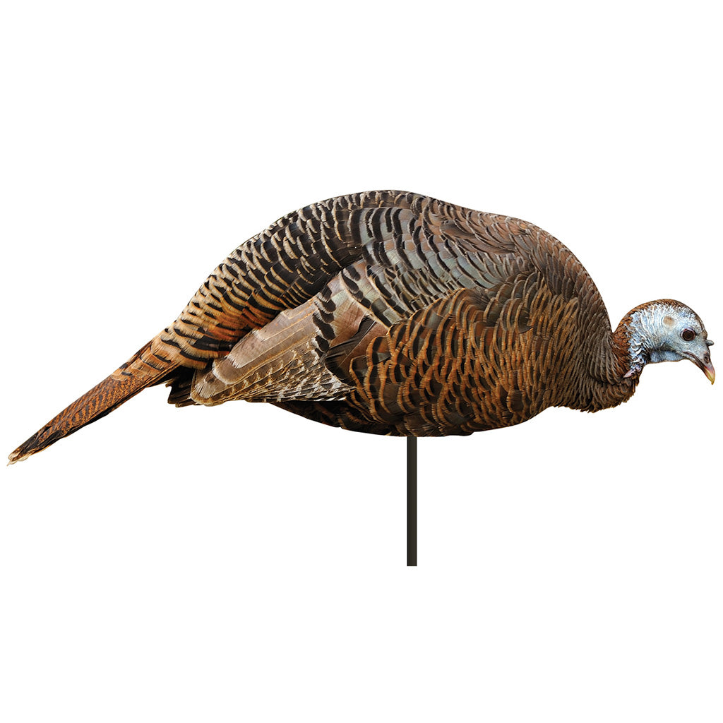 Montana Decoy Dinner Belle Hen Decoy | Montana Decoy