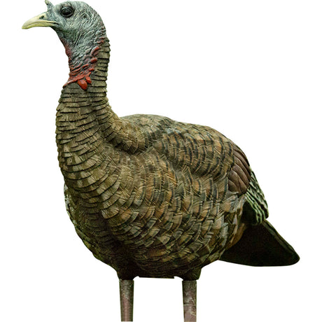Avian X Lookout Turkey Decoy | Avian-X