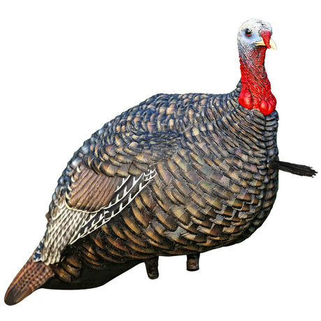 Avian X Quarter Strut Jake Turkey Decoy | Avian-X