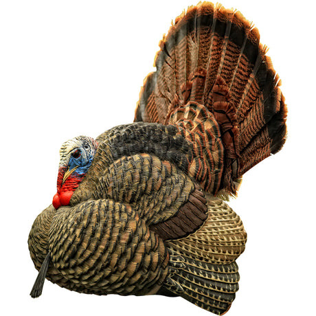 Avian X Strutter Turkey Decoy | Avian-X
