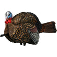 Avian X 1/2 Strut Jake Turkey Decoy | Avian-X