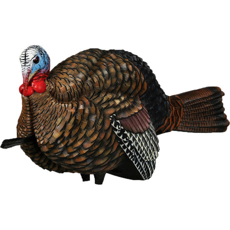 Avian X 1/2 Strut Jake Turkey Decoy | Avian-X