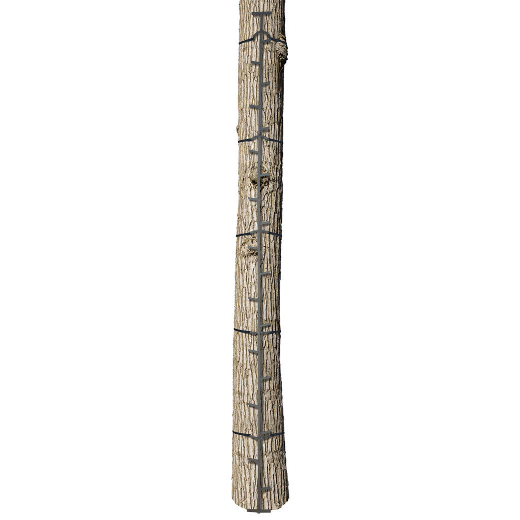 Big Game The Quick-Stick Climbing Stick 20 ft. | Big Game