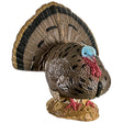 Rinehart Signature Strutting Turkey Target | Rinehart