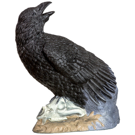 Rinehart Raven Target | Rinehart