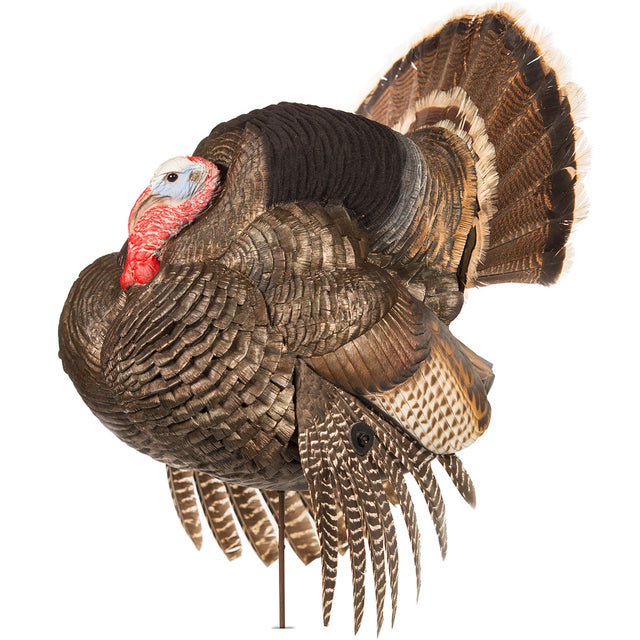 Dave Smith Decoys Strutter Decoy | Dave Smith Decoys