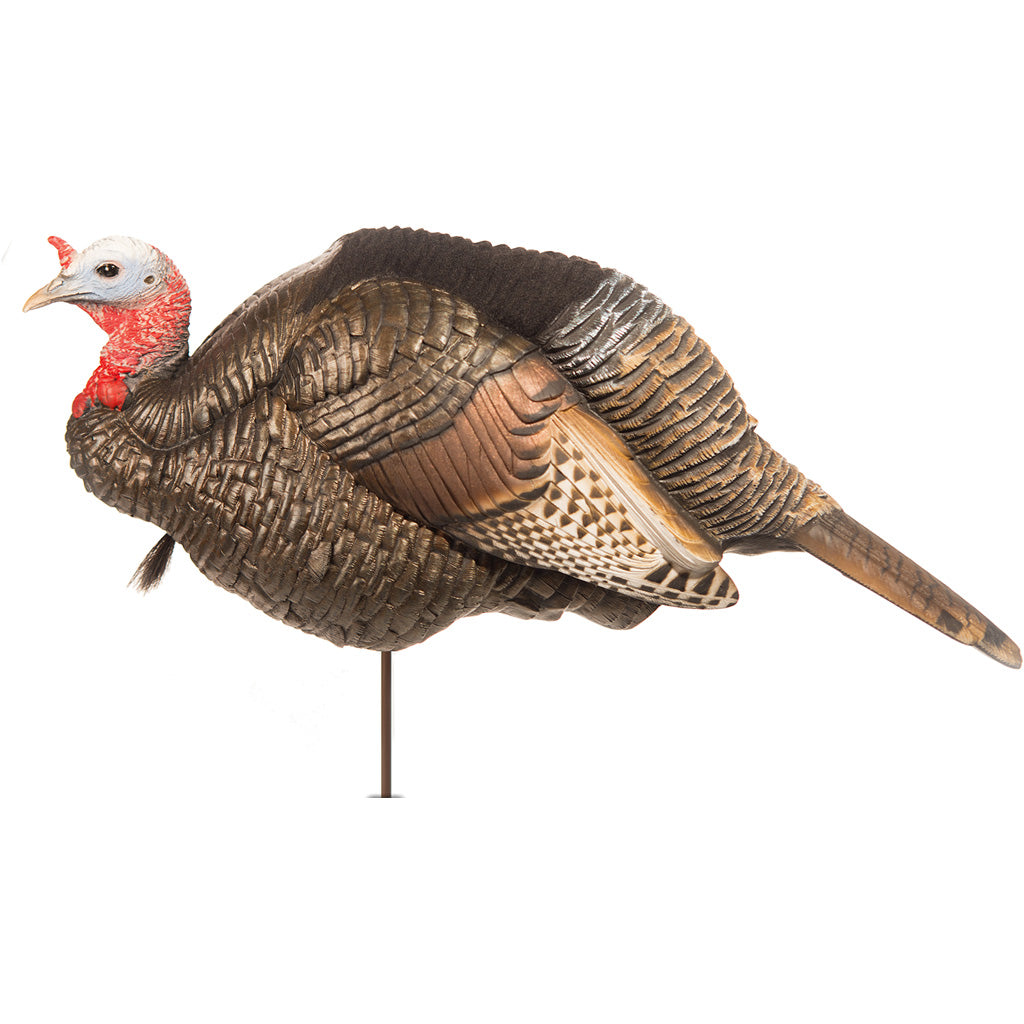 Dave Smith Decoys 3/4 Strut Jake Decoy | Dave Smith Decoys