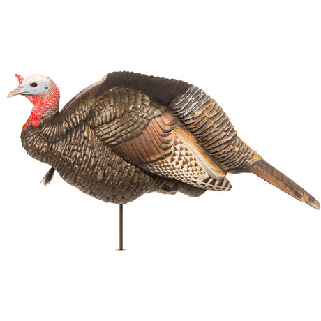 Dave Smith Decoys 3/4 Strut Jake Decoy | Dave Smith Decoys