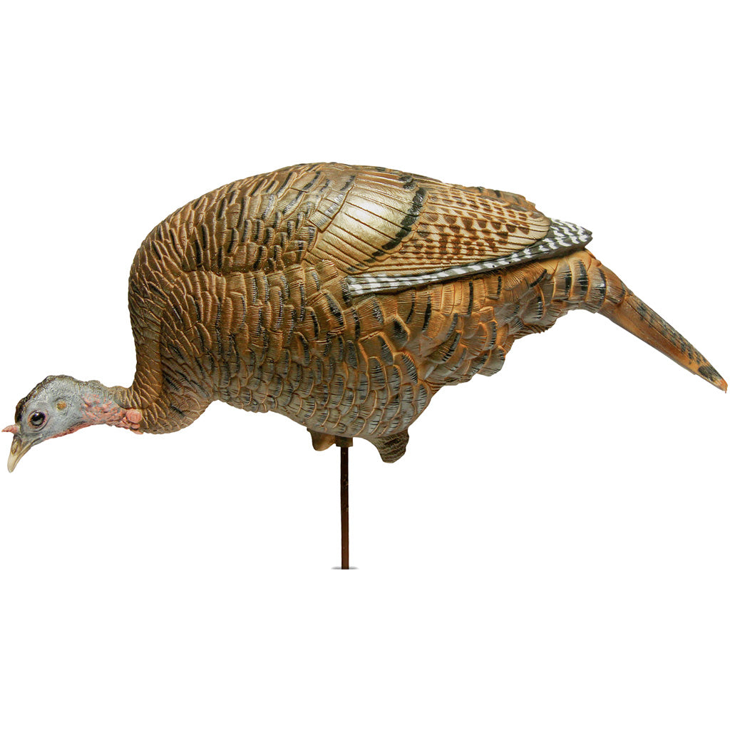 Dave Smith Decoys Feeding Hen Decoy | Dave Smith Decoys