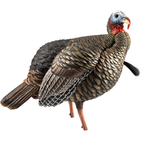 Avian X HDR Jake Decoy | Avian-X