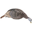 Hunters Specialties Strut-Lite Turkey Decoy Feeding Hen | Hunters Specialties