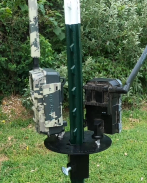 Patented T-Post Mount for 2 Trail Cameras — No Arms, Direct Mount | ShopThermalOptics | Accessories