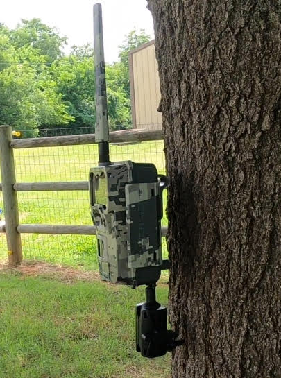 Trail Camera Tree Mount